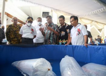 Menko PMK: Budidaya Ikan dan Perdagangan Koi Bisa Kurangi Kemiskinan